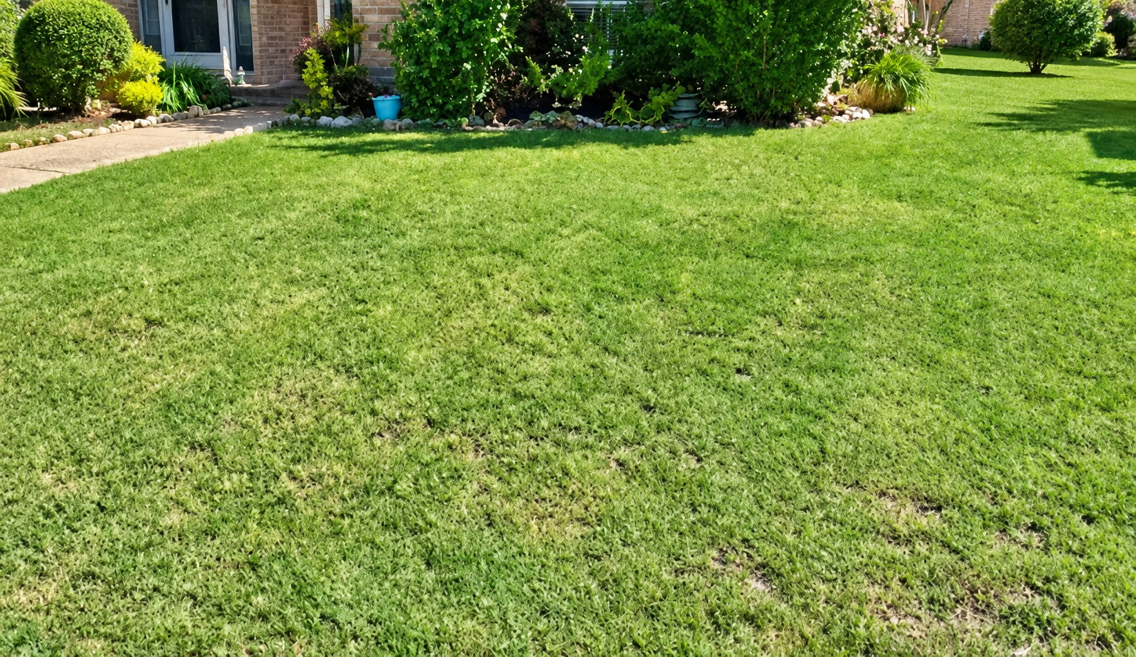 A freshly maintained lawn by Bluebonnet Lawn Co.